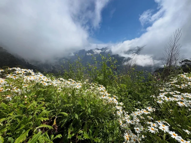 Instagram post 18048337199595678